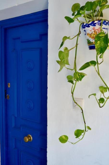 Apartamento En Sevilla Centro Con Vistas A La Plaza Alameda De Hercules - Hasta 6 Personas Екстериор снимка
